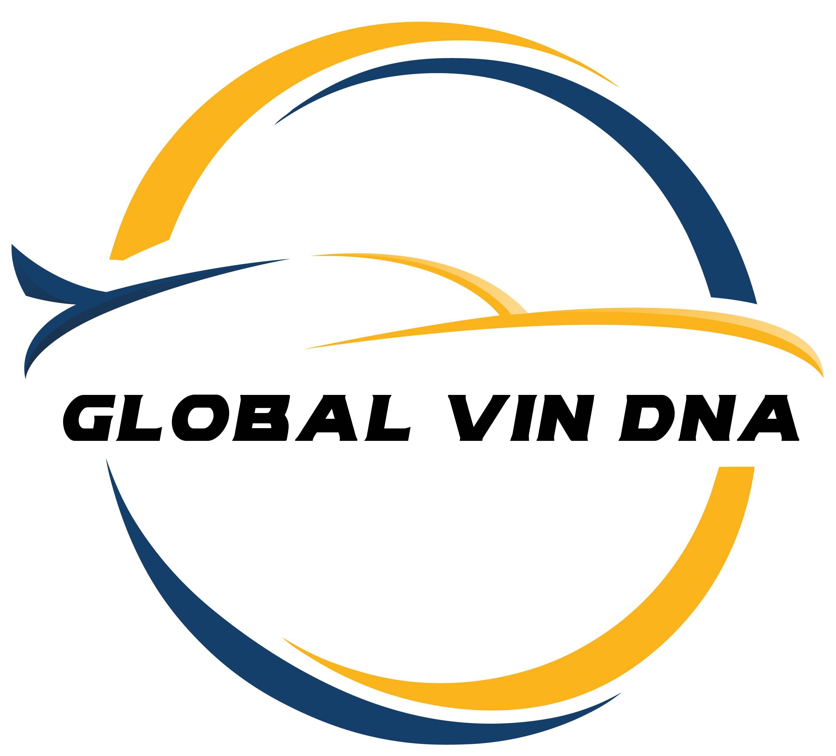Global Vin DNA